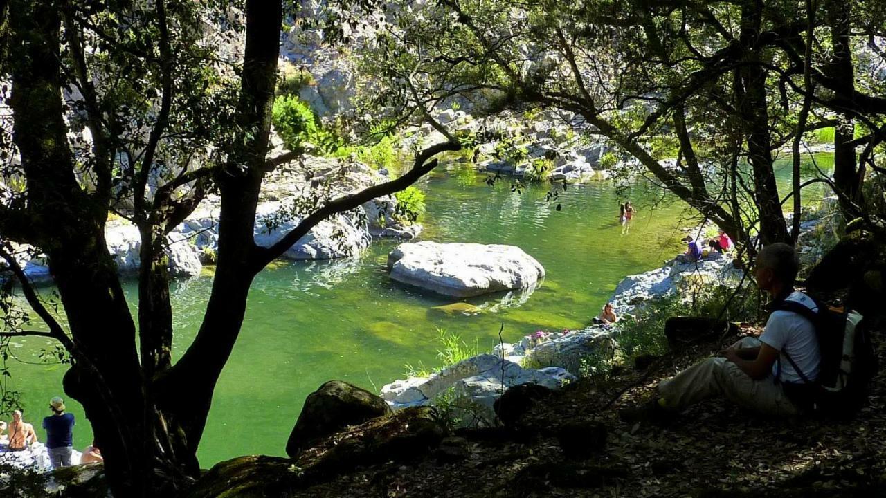 La Peonia Casa Vacanze In Montagna Prato Verde Panorama Stupendo Sardegna Seùlo Extérieur photo
