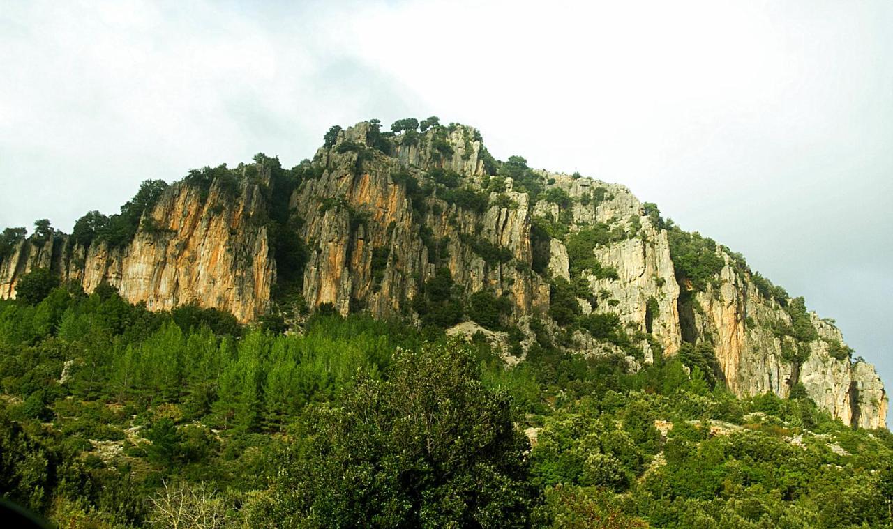 La Peonia Casa Vacanze In Montagna Prato Verde Panorama Stupendo Sardegna Seùlo Extérieur photo