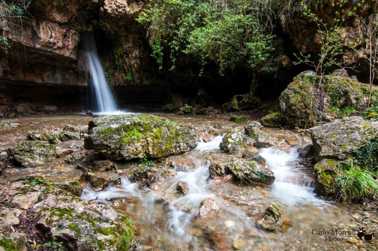 La Peonia Casa Vacanze In Montagna Prato Verde Panorama Stupendo Sardegna Seùlo Extérieur photo