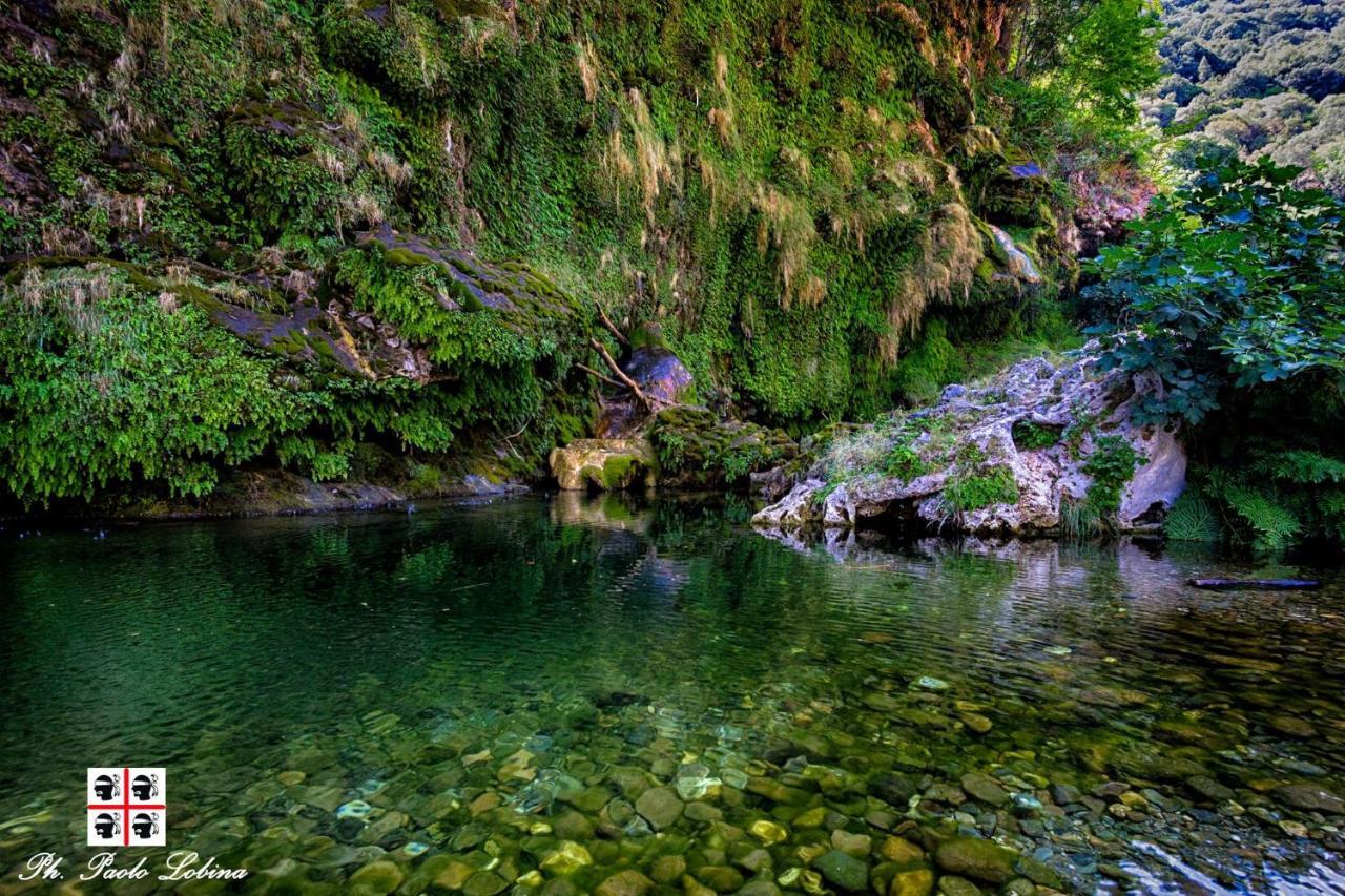 La Peonia Casa Vacanze In Montagna Prato Verde Panorama Stupendo Sardegna Seùlo Extérieur photo